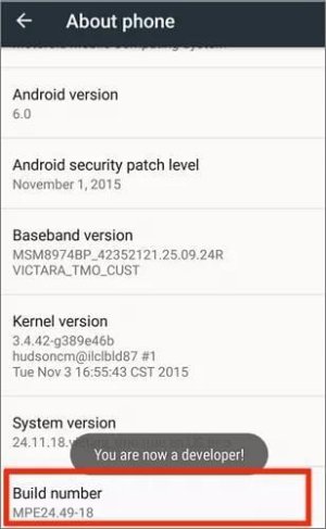 enable developer options
