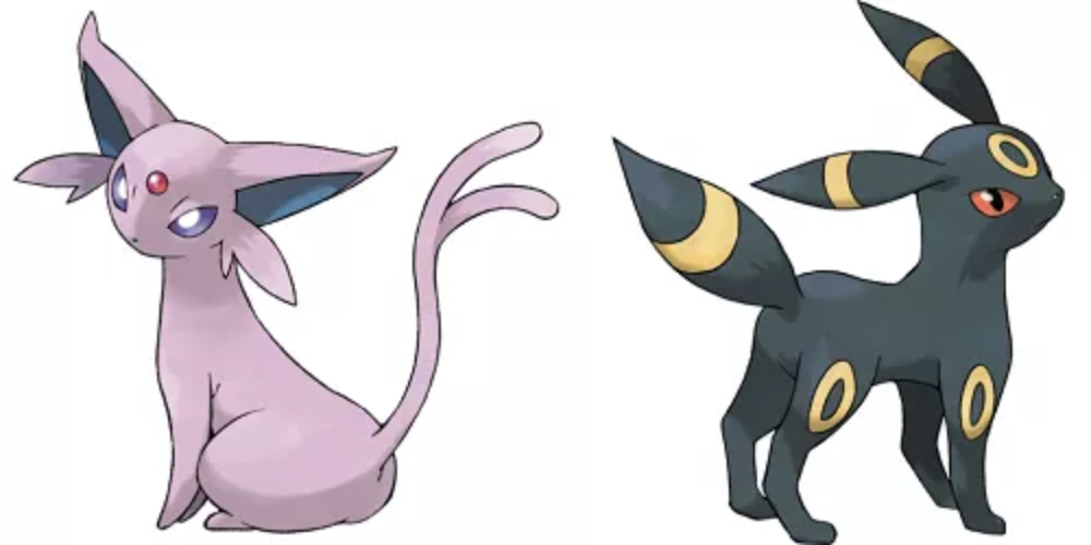Buddy Friendship Evolution