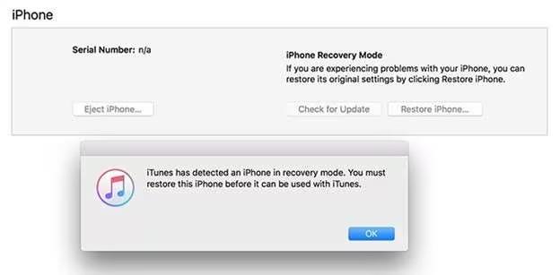 Restore-iPhone