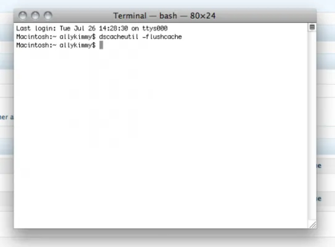 Try Accessing shsh.host Again