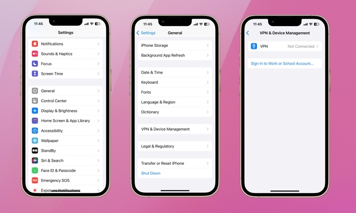 check-vpn-and-iphone-settings-to enable-developer mode