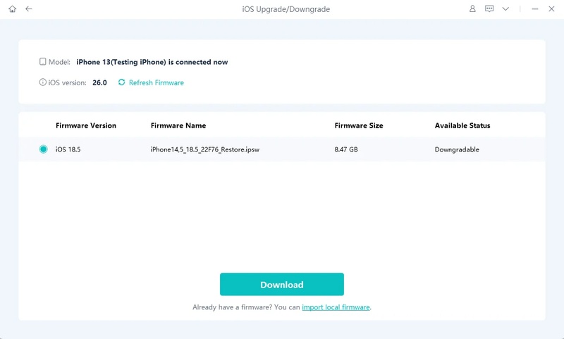 Auf Download klicken, um den Firmware-Download zu starten
