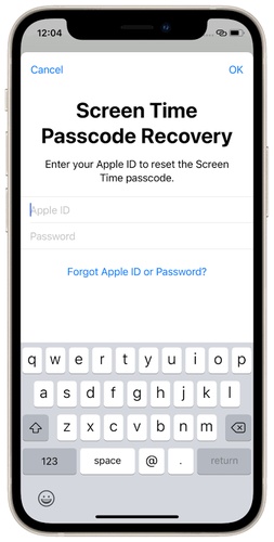 Apple Account E-Mail-Adresse und Passwort eingeben