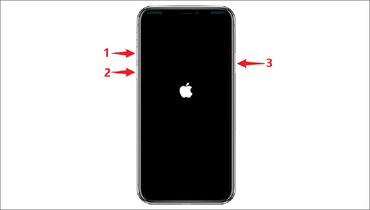 Hold device until Apple logo appears