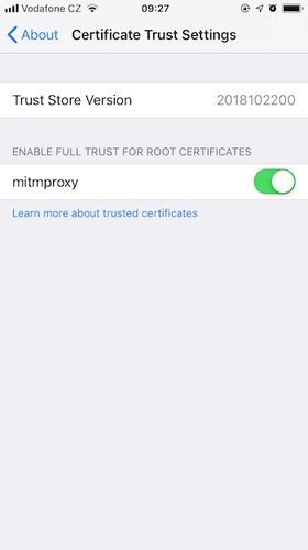 iPhone certificate trust settings enabled