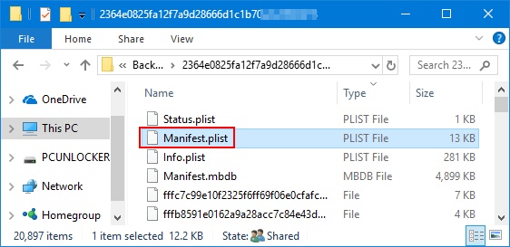 افتح Info.plist في مجلد النسخ الاحتياطي