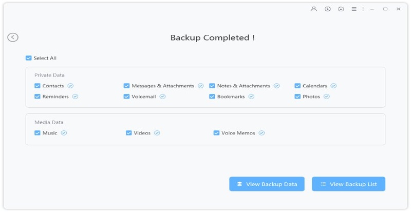 Preview backup data or export