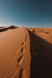 Footprints in the Dunes