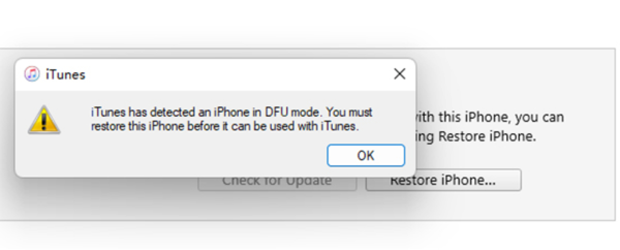 restore your phone click ok