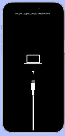 依序按下 iPhone Duo 音量按鈕並持續按住側邊按鈕，進入復原模式