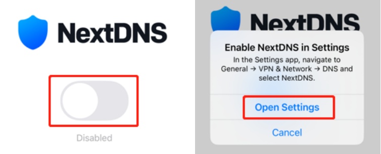 Download NextDNS from App Store
