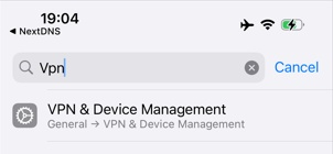 Enable NextDNS in Settings
