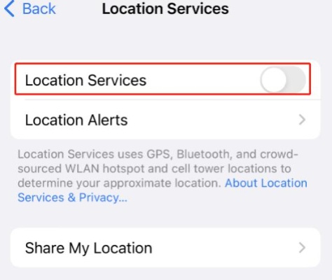 open Wi-Fi, cellular data, and location services