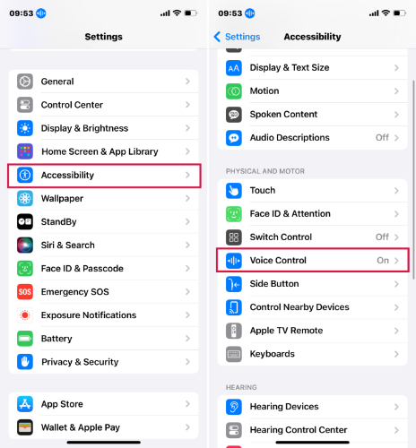 Enable Voice Control
