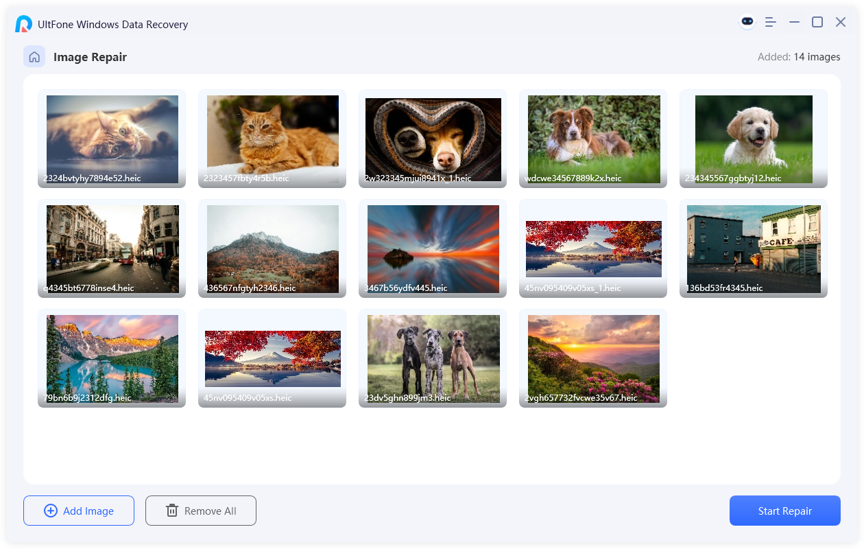 select damaged photos