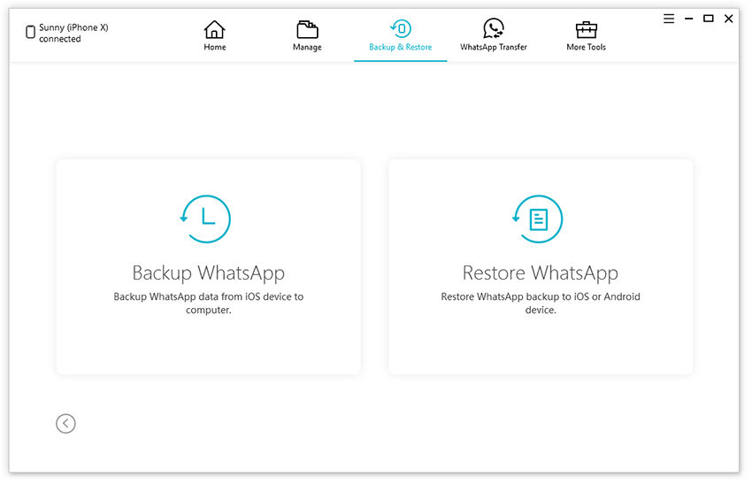 restore or export backup