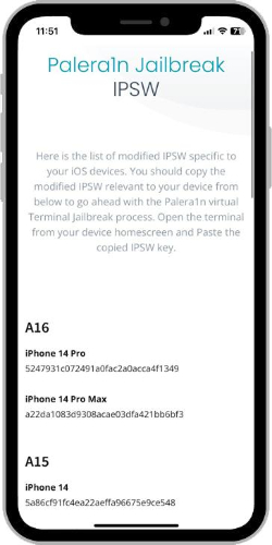 copy the IPSW code provided with Palera1n