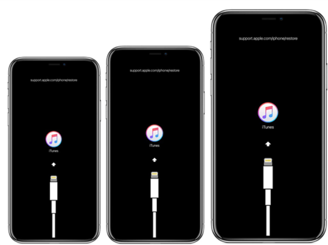 Put iPhone into Recovery Mode