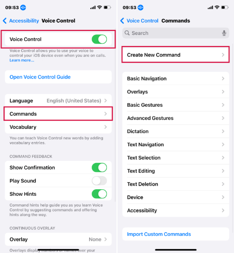 Set Up Commands