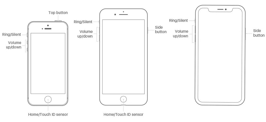 Solved: iPhone Flashlight Not Working iOS 16/15