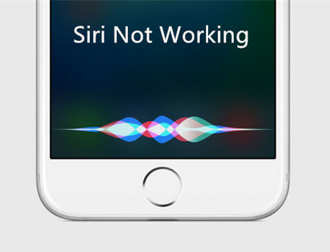 How to Fix Siri Not Working on iPhone 13/7/7 Plus [iOS 16 Supported]