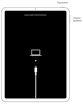 put ipad in recovery mode