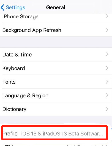 open ios beta profile