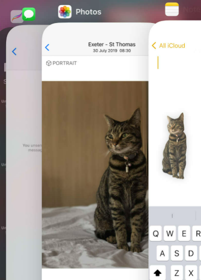 iOS 16/iOS 18 beta photo cutout issue
