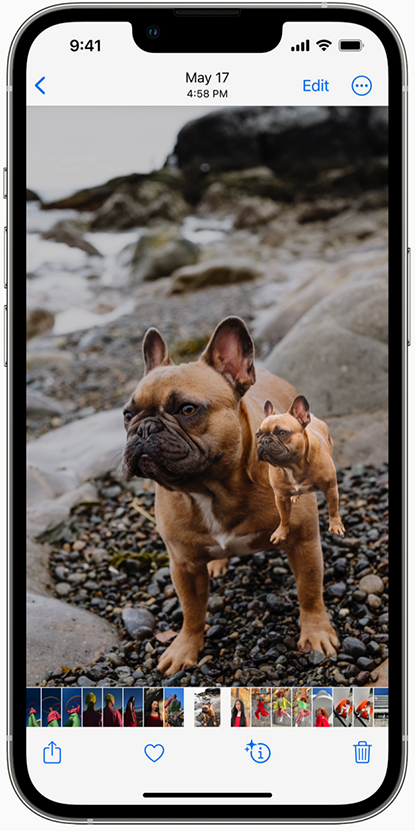 ios 16 visual lookup