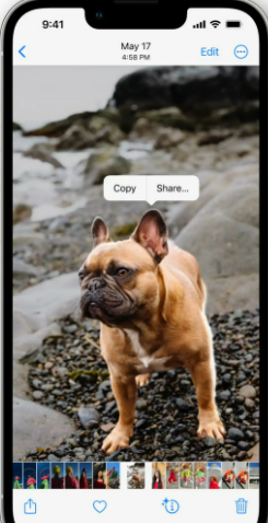 remove subjects from images