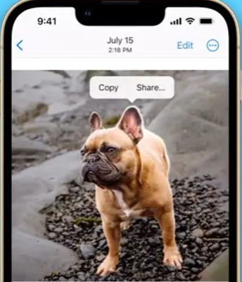 share iOS 16/iOS 18 beta photo cutout
