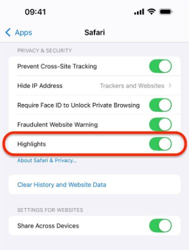   ios-18-safari-not-working-highlight