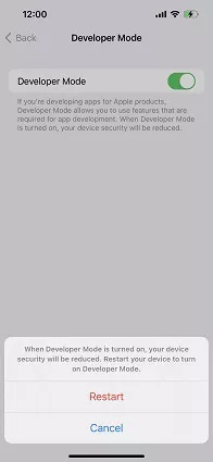 estart iphone to turn on developer mode
