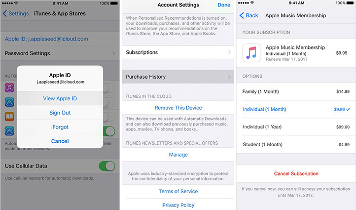 view apple music subscription